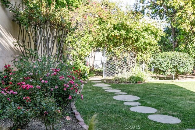 1558 Hillcrest Ave, Glendale, CA 91202 - view of green lawn
