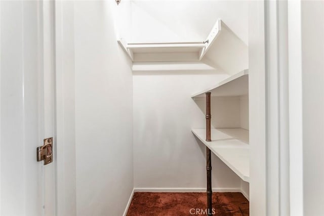 1558 Hillcrest Ave, Glendale, CA 91202 - spacious closet with carpet flooring