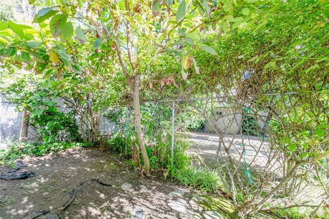 1558 Hillcrest Ave, Glendale, CA 91202 - view of yard