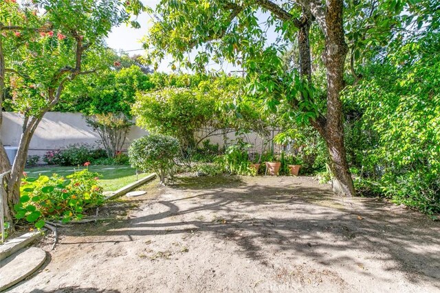1558 Hillcrest Ave, Glendale, CA 91202 - view of yard