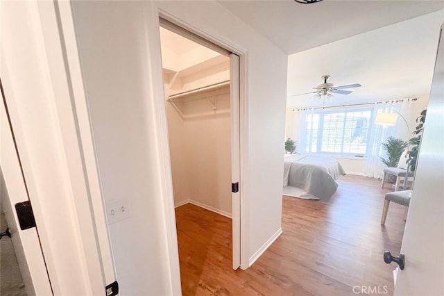 bedroom with wood finished floors, baseboards, a walk in closet, and ceiling fan
