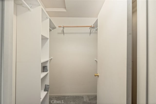5664-5668 Clouds, Mariposa, CA 95338 - walk in closet with carpet floors