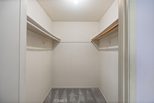 5664-5668 Clouds, Mariposa, CA 95338 - spacious closet with carpet