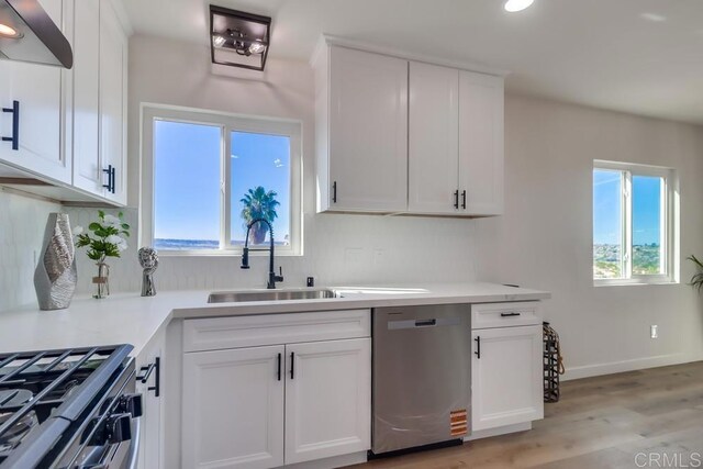 1215 Grand Ave, Spring Valley, CA 91977 - kitchen with stainless steel dishwasher, a sink, healthy amount of natural light, white cabinetry, and recessed lighting