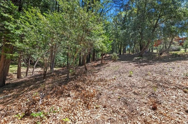 23075 Oak Leaf Ln, Idyllwild, CA 92549 - photo 26