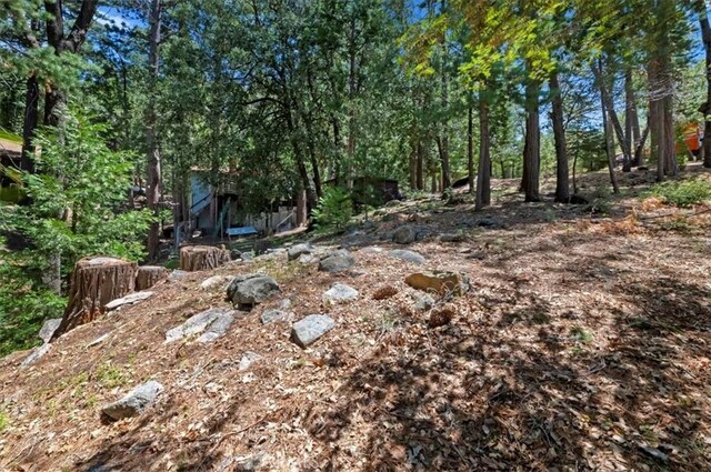 23075 Oak Leaf Ln, Idyllwild, CA 92549 - photo 28