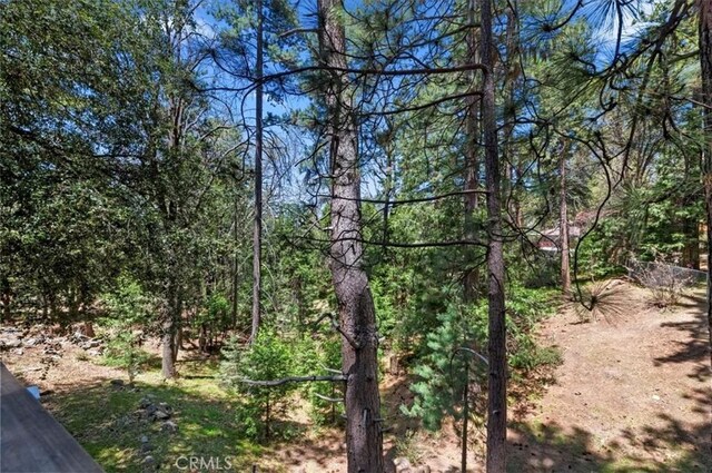 23075 Oak Leaf Ln, Idyllwild, CA 92549 - photo 22