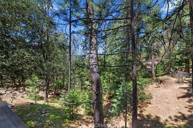 23075 Oak Leaf Ln, Idyllwild, CA 92549 - photo 21