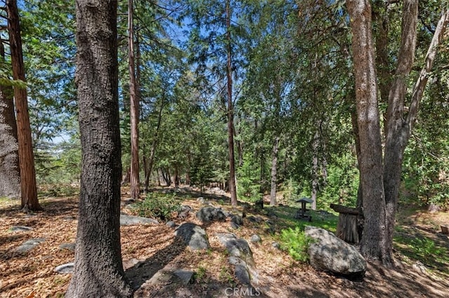 23075 Oak Leaf Ln, Idyllwild, CA 92549 - photo 24