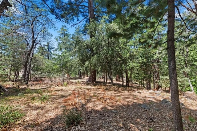 23075 Oak Leaf Ln, Idyllwild, CA 92549 - photo 25