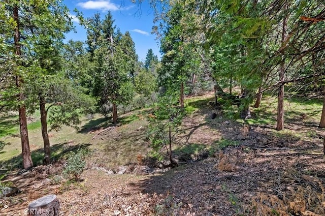 23075 Oak Leaf Ln, Idyllwild, CA 92549 - photo 27