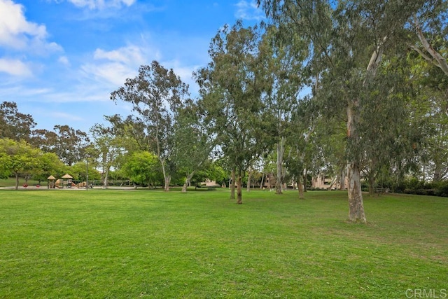 view of grassy yard