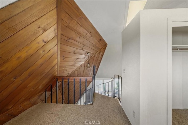 stairway featuring carpet flooring