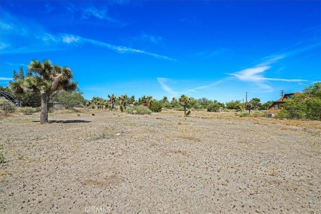 view of undeveloped land