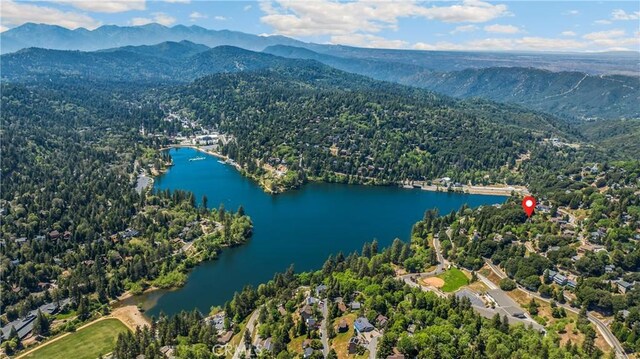 417 Delle Dr, Crestline, CA 92325 - photo 43