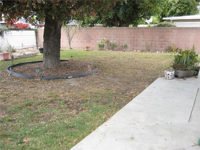 view of yard with a patio area