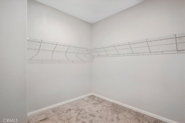 34428 Burnt Pine Rd, Murrieta, CA 92563 - spacious closet featuring carpet floors