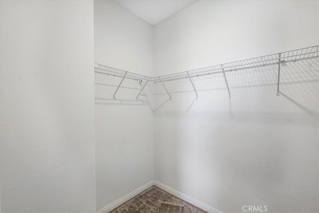 34428 Burnt Pine Rd, Murrieta, CA 92563 - spacious closet with carpet floors