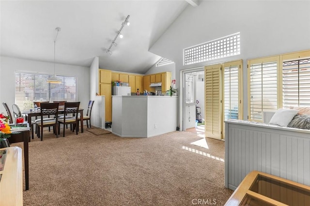 11 Avalon Unit 23, Laguna Niguel, CA 92677 - kitchen featuring vaulted ceiling, open floor plan, rail lighting, light colored carpet, and hanging light fixtures