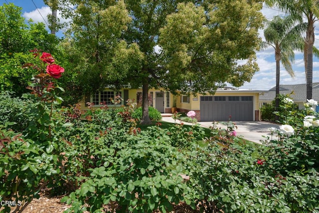 view of front of property with a garage and driveway