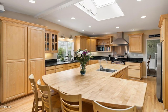 kitchen featuring wall chimney exhaust hood, a sink, a skylight, stainless steel appliances, and recessed lighting