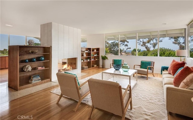 1737 Via Boronada, Palos Verdes Estates, CA 90274 - living room with a multi sided fireplace and light wood-type flooring