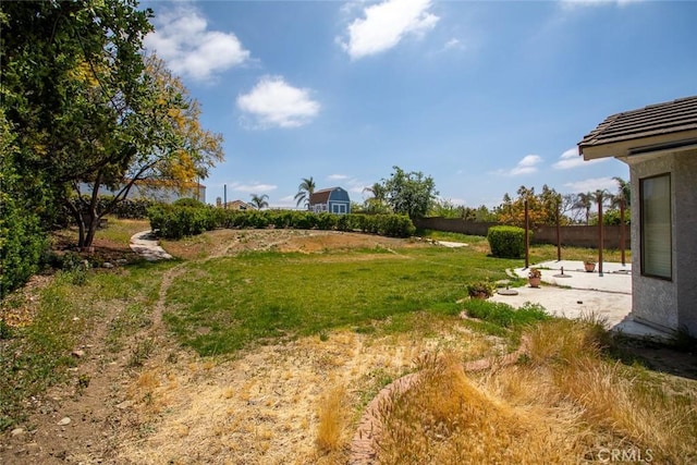 view of grassy yard with a patio