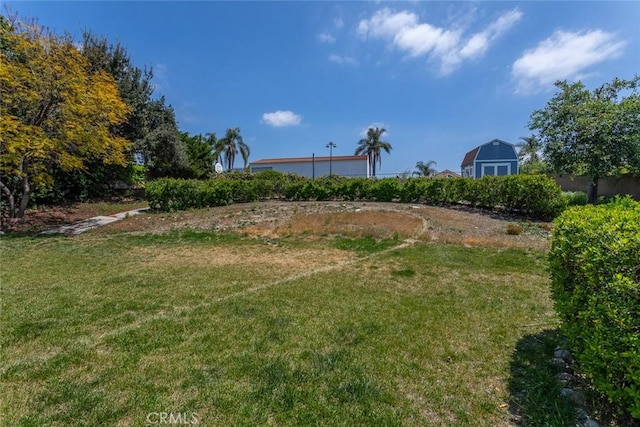 view of yard with an outdoor structure