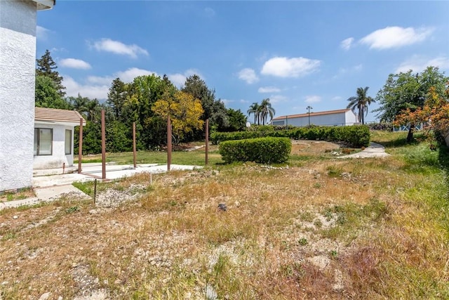 view of yard
