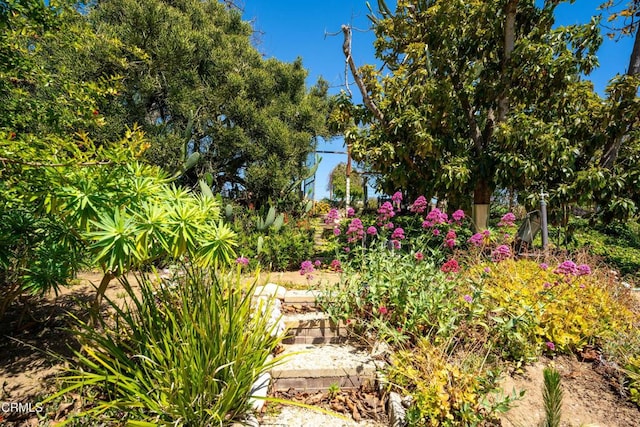 99 Cerro Crest Dr, Camarillo, CA 93010 - photo 19