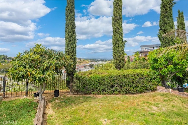 979 Ridgecrest St, Monterey Park, CA 91754 - view of yard