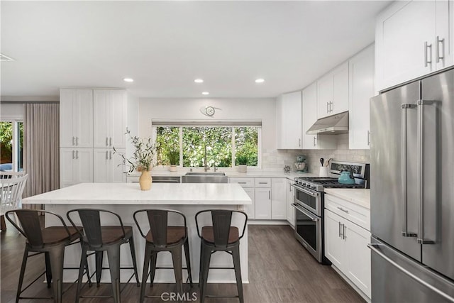 33028 Christina Dr, Dana Point, CA 92629 - kitchen with stainless steel appliances, under cabinet range hood, a breakfast bar area, light countertops, and recessed lighting