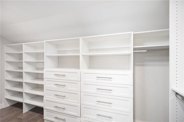 33028 Christina Dr, Dana Point, CA 92629 - walk in closet featuring dark wood-style floors