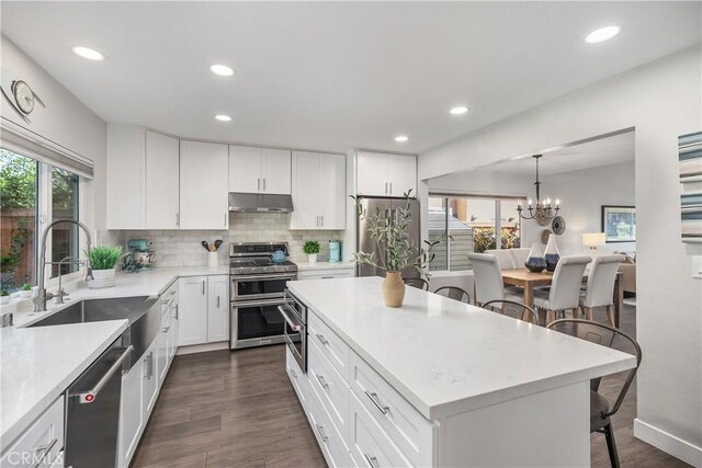 33028 Christina Dr, Dana Point, CA 92629 - kitchen featuring stainless steel appliances, under cabinet range hood, backsplash, dark wood finished floors, and recessed lighting
