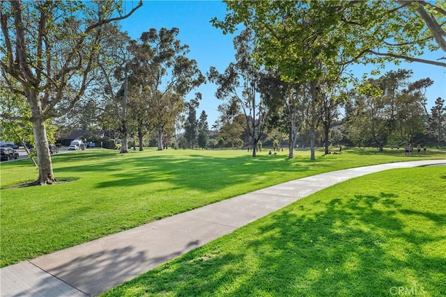 33028 Christina Dr, Dana Point, CA 92629 - view of property's community with a yard