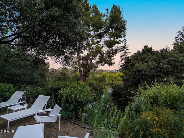 1555 Scenic Dr, Pasadena, CA 91103 - view of yard at dusk