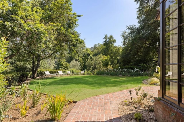 1555 Scenic Dr, Pasadena, CA 91103 - view of green lawn