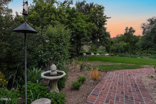 1555 Scenic Dr, Pasadena, CA 91103 - view of green lawn