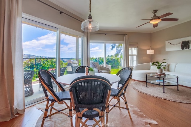 6970 Sandpiper Pl, Carlsbad, CA 92009 - dining space featuring ornamental molding, wood finished floors, healthy amount of natural light, and ceiling fan
