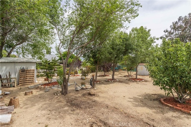 28083 Langside Ave, Canyon Country, CA 91351 - view of yard
