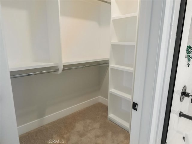 613 E Walnut Ave, Monrovia, CA 91016 - spacious closet with carpet