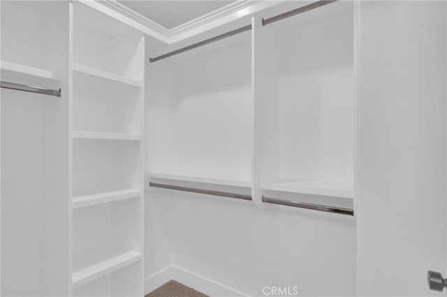 613 E Walnut Ave, Monrovia, CA 91016 - view of spacious closet