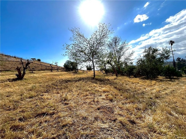 8600 58th St, Jurupa Valley, CA 92509 - photo 34