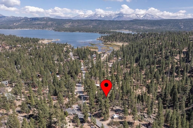 39117 Rim Of The World Dr, Fawnskin, CA 92333 - photo 56
