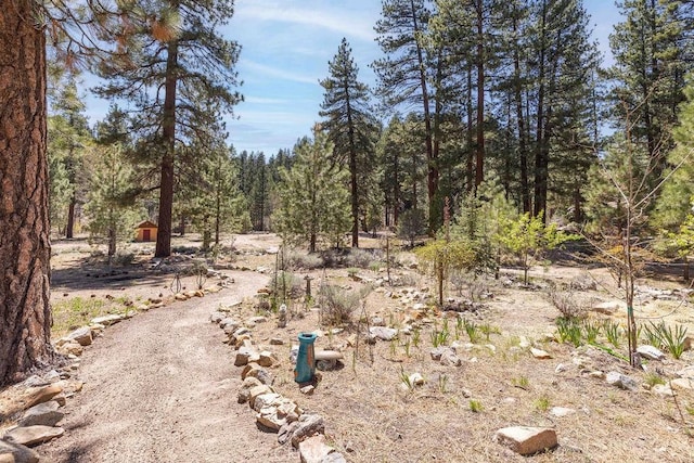 39117 Rim Of The World Dr, Fawnskin, CA 92333 - photo 19