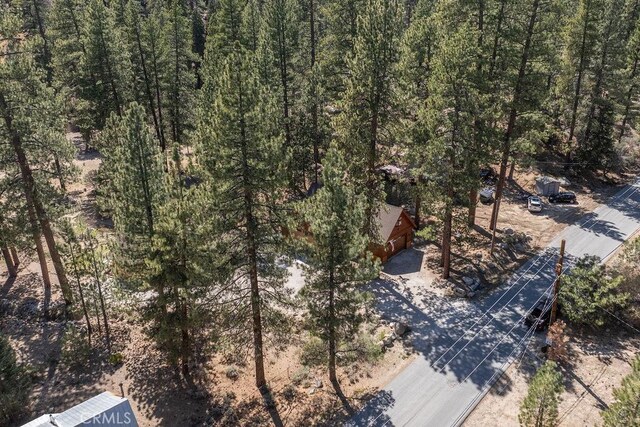 39117 Rim Of The World Dr, Fawnskin, CA 92333 - photo 59