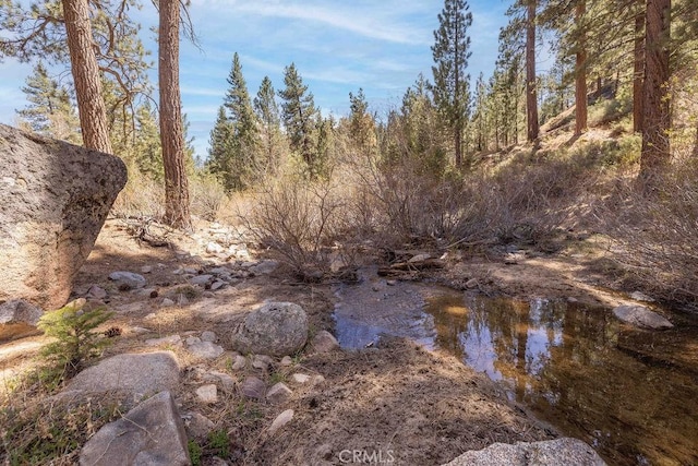 39117 Rim Of The World Dr, Fawnskin, CA 92333 - photo 25