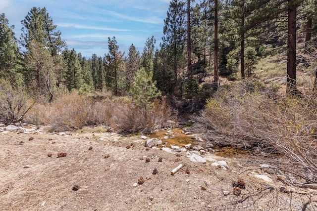 39117 Rim Of The World Dr, Fawnskin, CA 92333 - photo 26