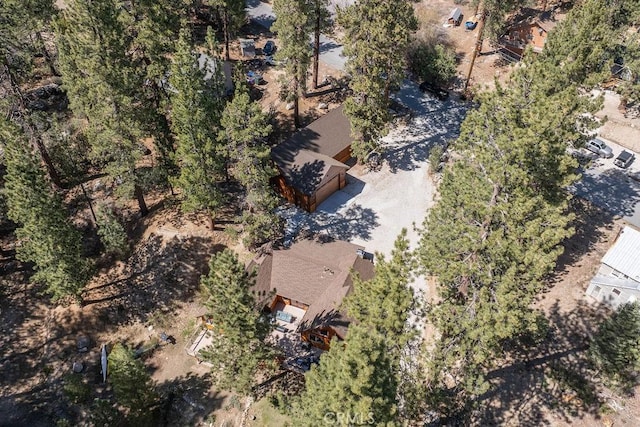 39117 Rim Of The World Dr, Fawnskin, CA 92333 - photo 60
