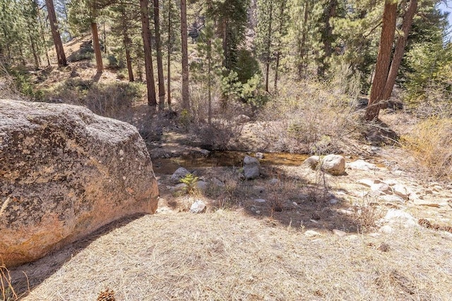 39117 Rim Of The World Dr, Fawnskin, CA 92333 - photo 23